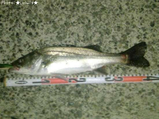 �����Х�