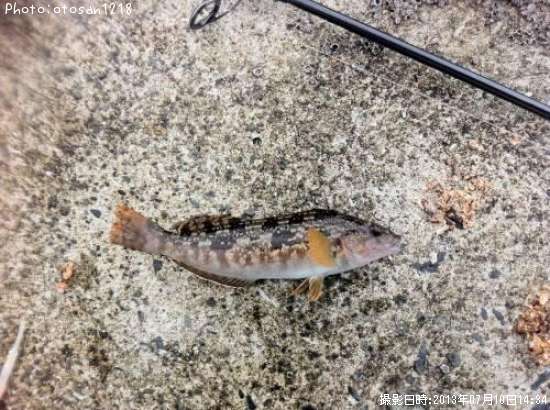 �����ʥ�