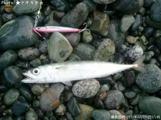 �С�����