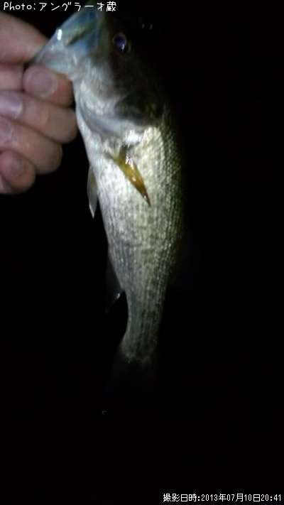 �֥�å��Х�