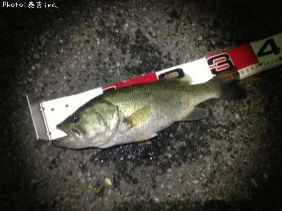 �֥�å��Х�