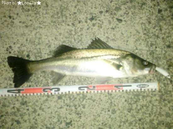 �����Х�