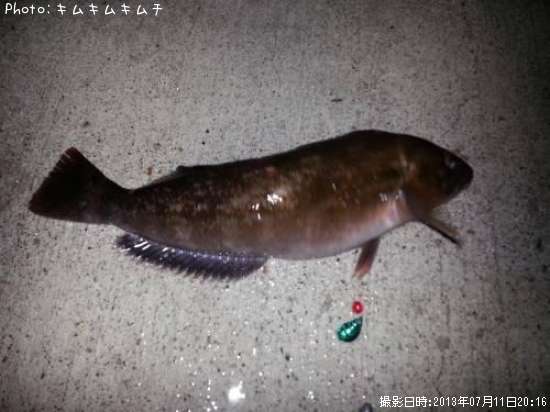 �����ʥ�