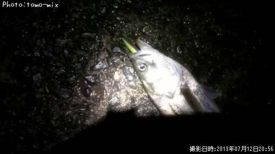 �����Х�