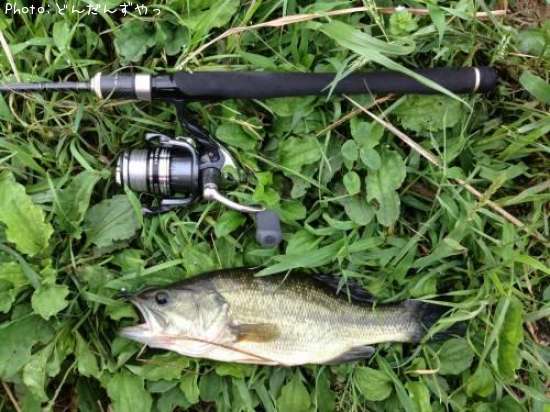 �֥�å��Х�