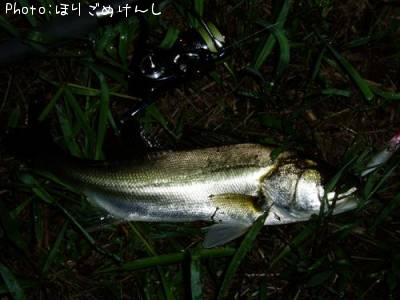 �����Х�