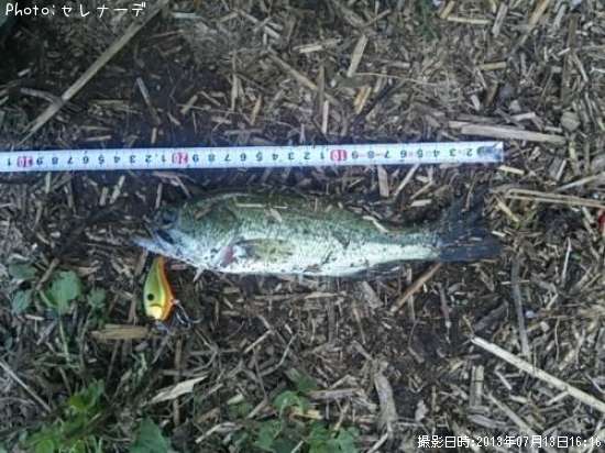 �֥�å��Х�