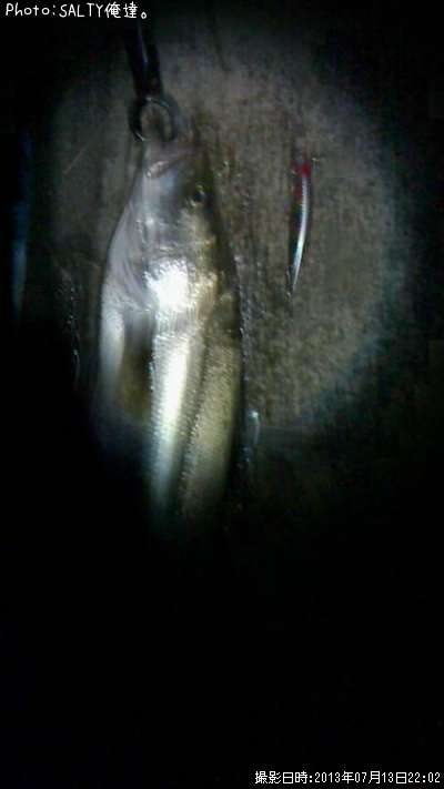 �����Х�