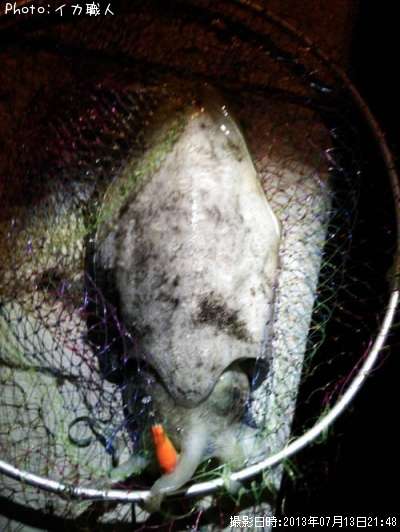 ��󥴥�����