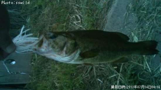 �֥�å��Х�