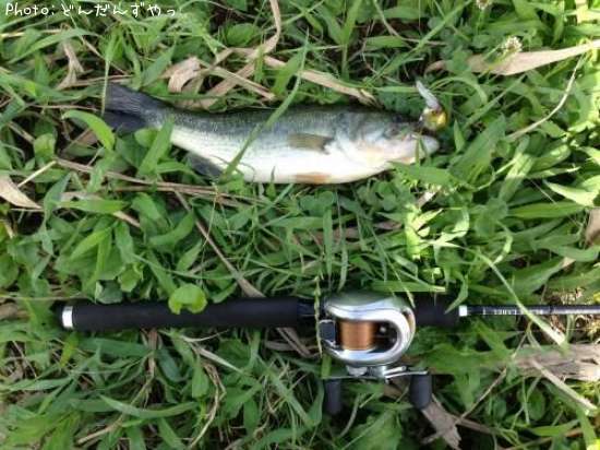 �֥�å��Х�