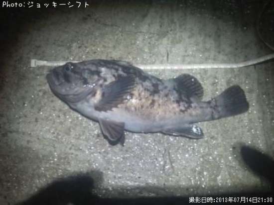 ��饽����