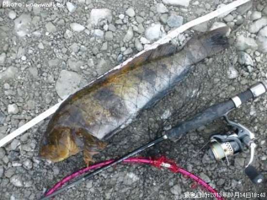 �����ʥ�