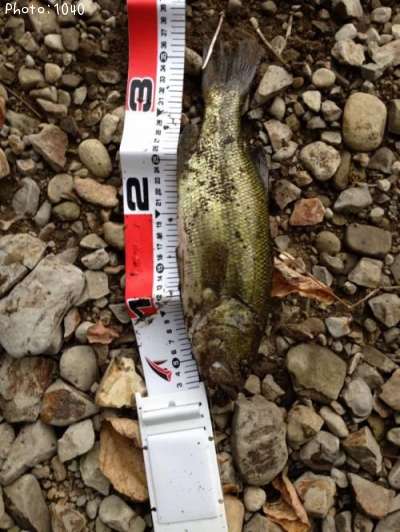 �֥�å��Х�