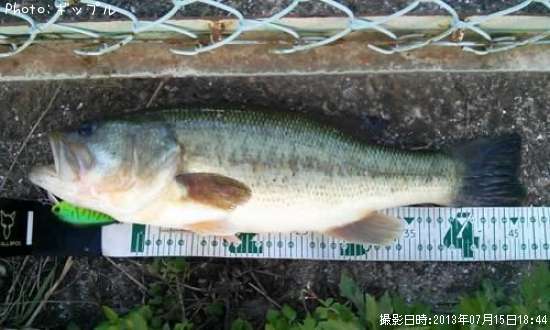 �֥�å��Х�