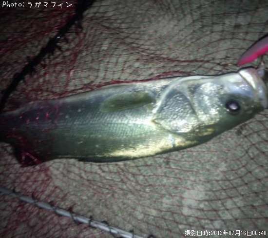 �����Х�