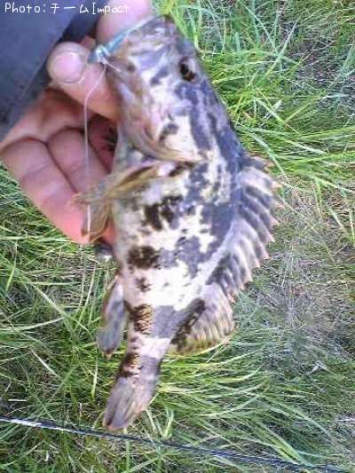 �����Υ���Х�