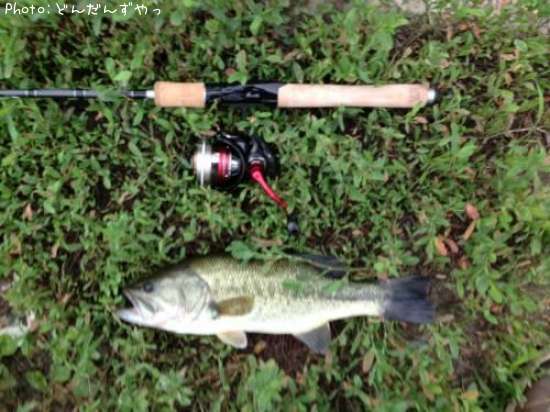 �֥�å��Х�