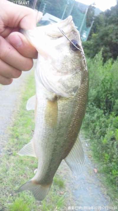 �֥�å��Х�