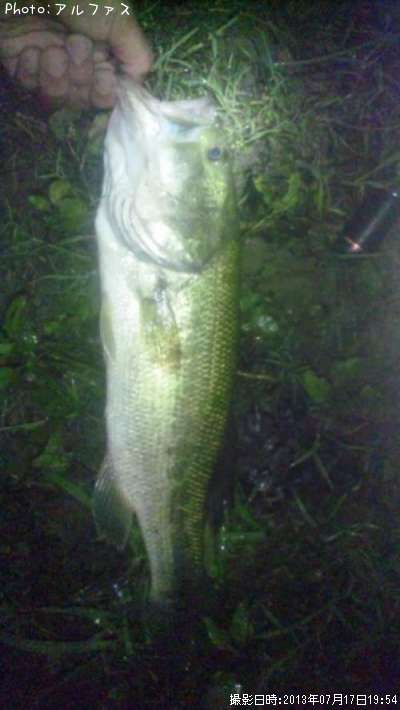 �֥�å��Х�