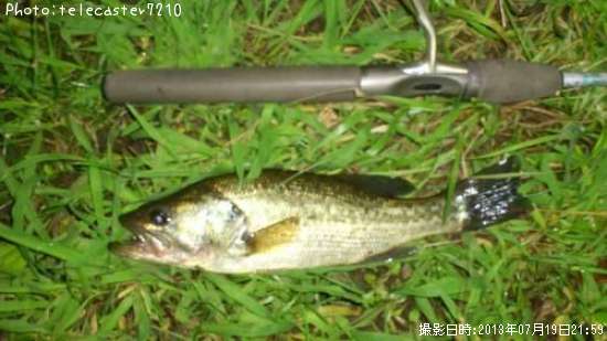 �֥�å��Х�