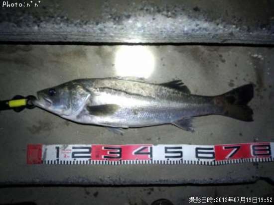 �����Х�