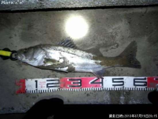 �����Х�