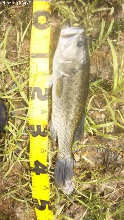 �֥�å��Х�