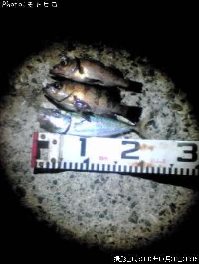 ��Х롡����