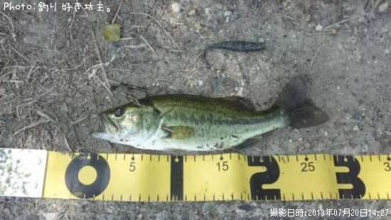 �֥�å��Х�