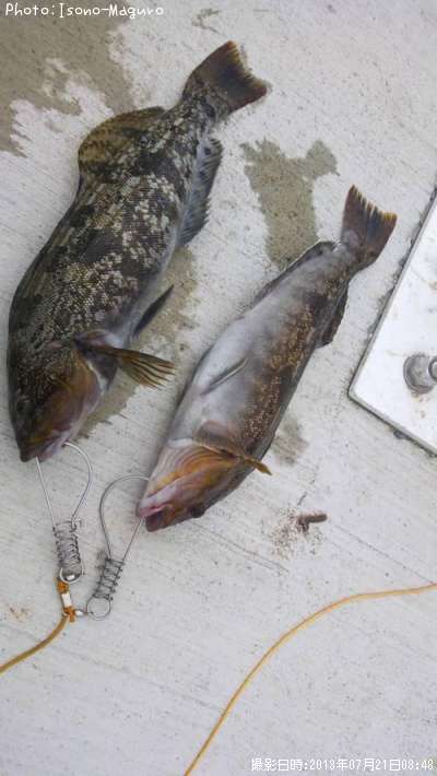 �����ʥ�