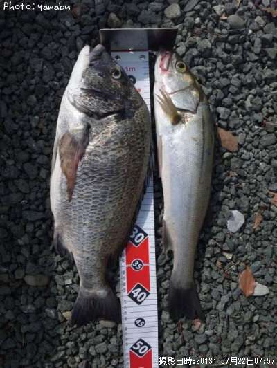 �����Х�����������