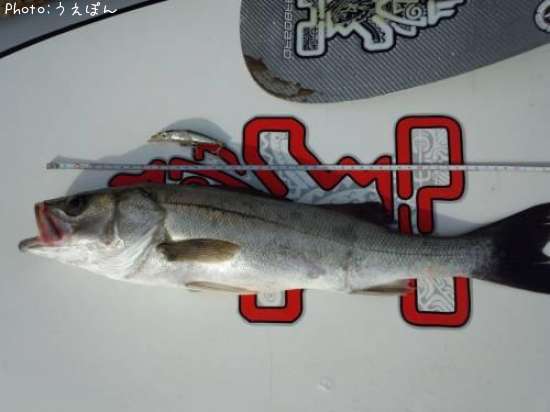 �����Х�