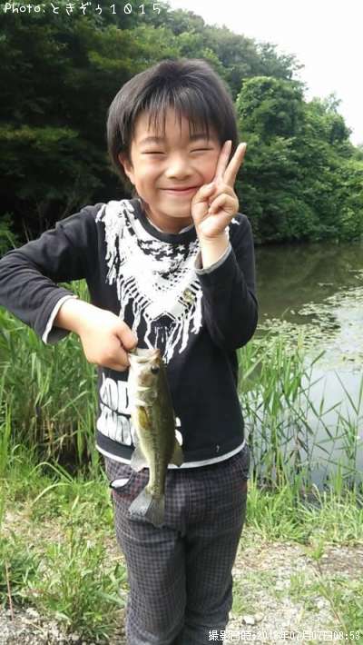 �֥�å��Х�