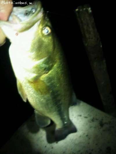 �֥�å��Х�