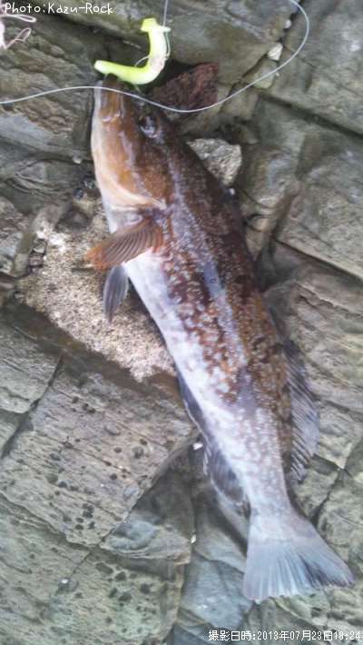 �����ʥ�