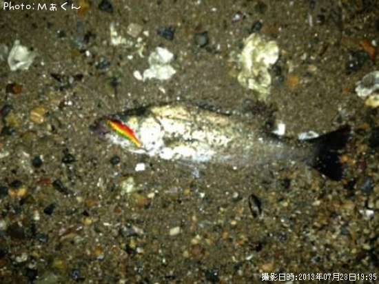 �����Х�