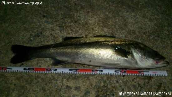 �����Х�