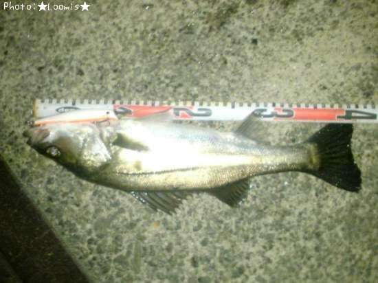 �����Х�