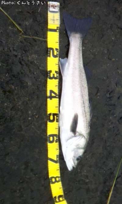 �����Х�