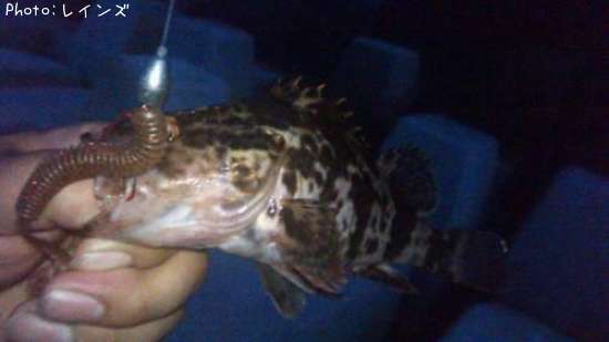 �����Υ���Х�