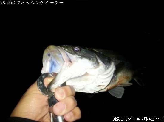 �����Х�