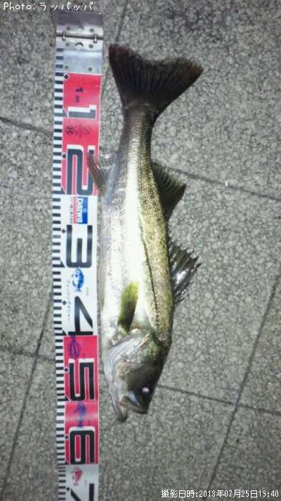 �����Х�