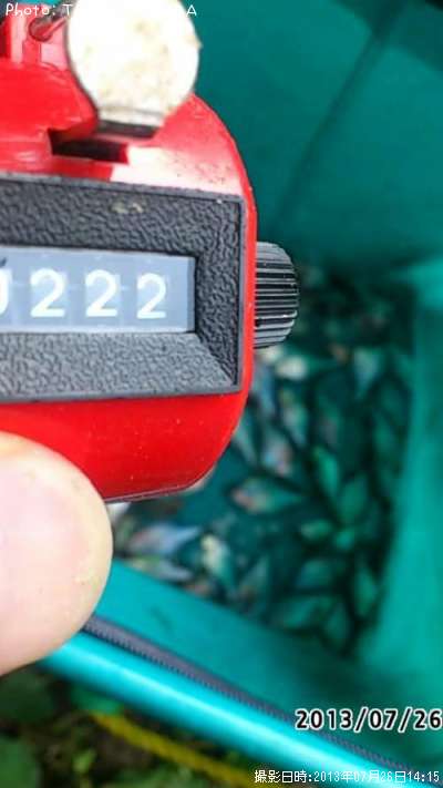 ��Φ�Х饿�ʥ�