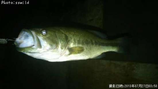 �֥�å��Х�