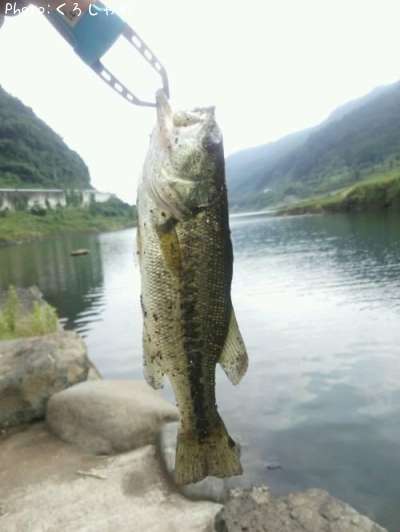 �֥�å��Х�