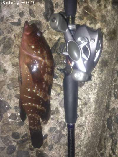 �����ϥ�