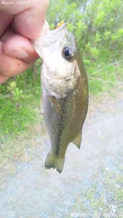 �֥�å��Х�