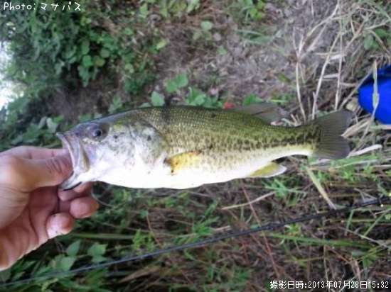 �֥�å��Х�