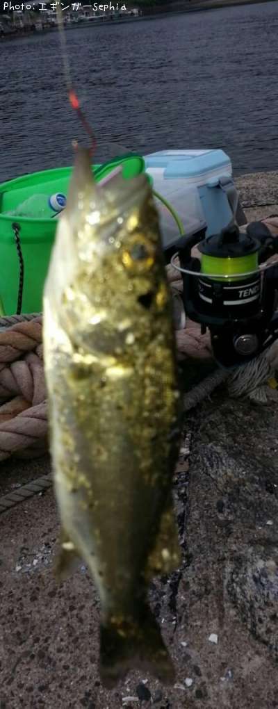 �����Х����ʥ�������